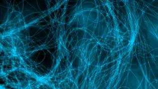 Microscopic image of thin threaded and stained blue fungal hyphae