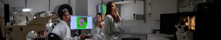 researchers in conversation over microscopy image