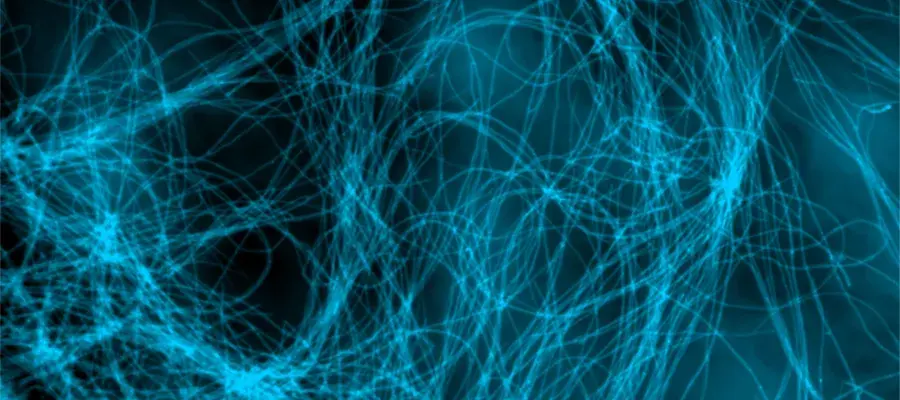 Microscopic image of thin threaded and stained blue fungal hyphae