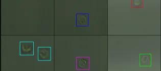 Different white blood cells on a grid, highlighted with different coloured boxes