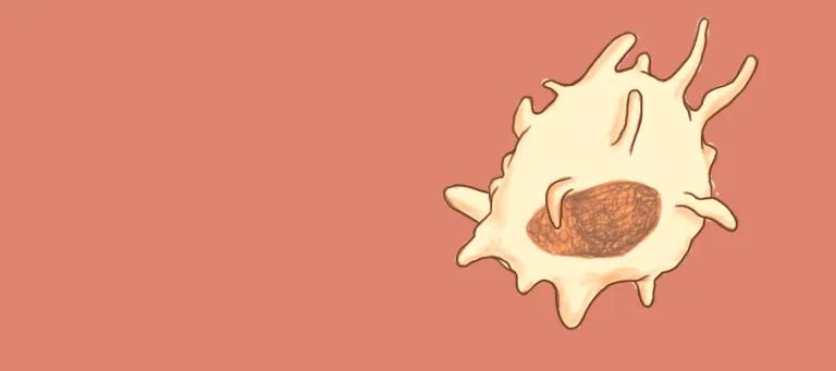 White blob on the right with protrusions signifying a macrophage immune cell, on a salmon pink plain background.