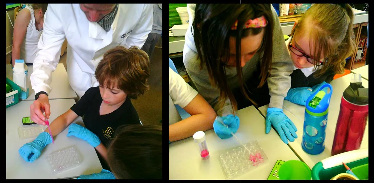 Primary 5 pupils trying an experiment