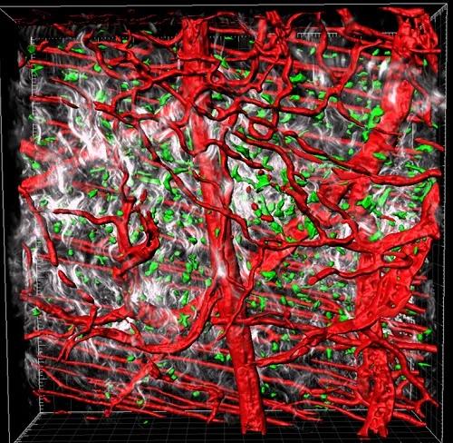 Multiphoton Cash