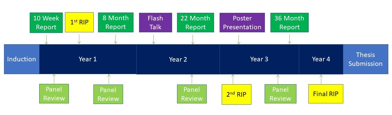 4 year course timeline