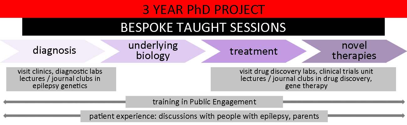 Structure of the ERUK Doctoral Training Centre