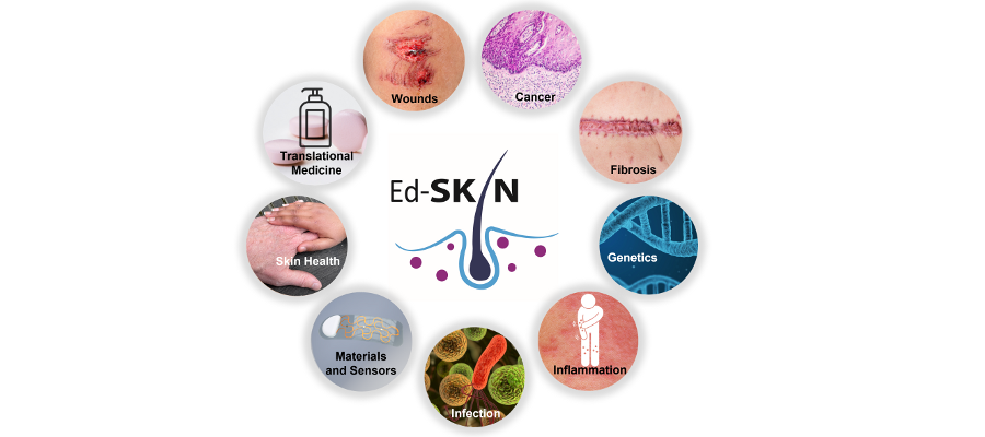 A representation of the 9 research themes in EdSKIN