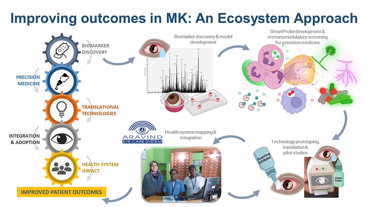 Image of Improving outcomes in MK: an ecosystem approach