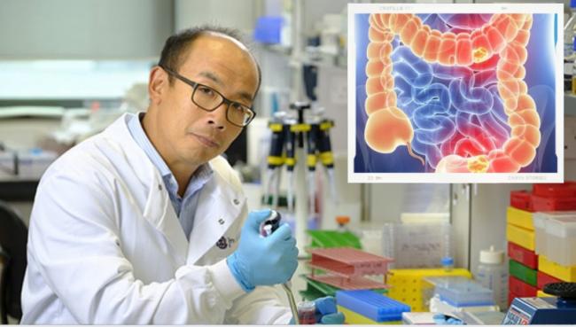 Researcher Gwo-tzer Ho in the lab, with inset image of inflamed large bowel