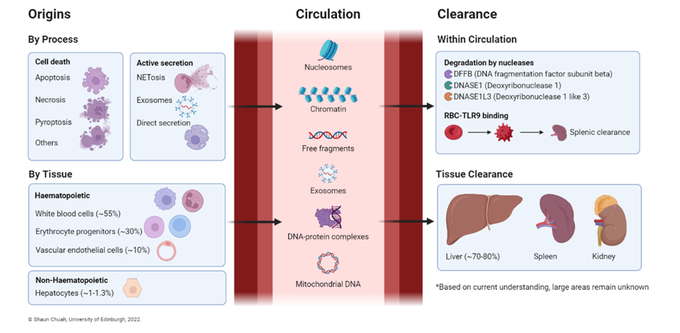 Image of liquid biopsy