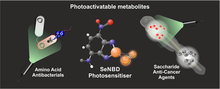 Image of SeNBD photosensitiser